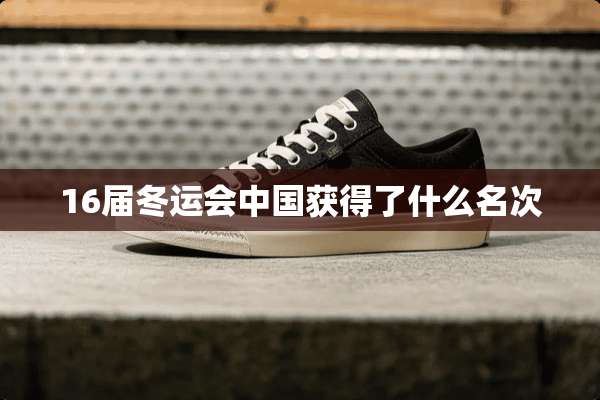 16届冬运会中国获得了什么名次