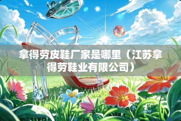 拿得劳皮鞋厂家是哪里（江苏拿得劳鞋业有限公司）