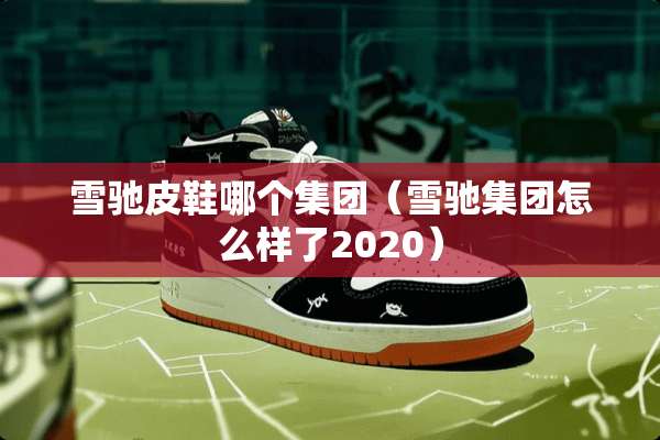 雪驰皮鞋哪个集团（雪驰集团怎么样了2020）