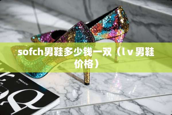 sofch男鞋多少钱一双（lⅴ男鞋价格）
