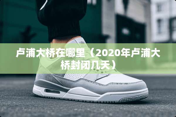 卢浦大桥在哪里（2020年卢浦大桥封闭几天）