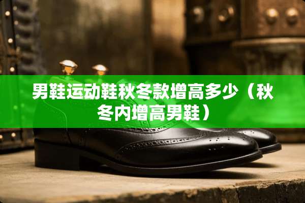男鞋运动鞋秋冬款增高多少（秋冬内增高男鞋）