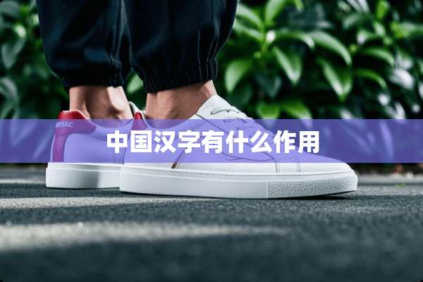 中国汉字有什么作用