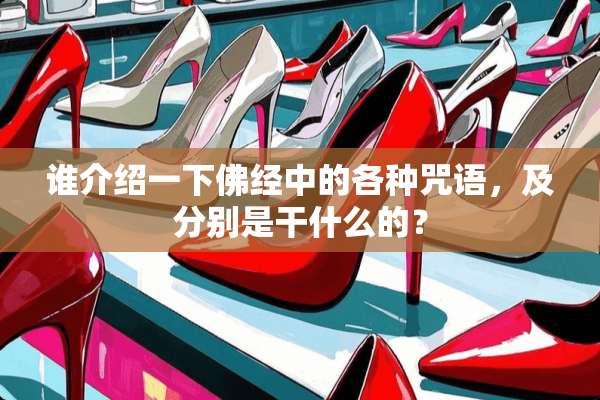 谁介绍一下佛经中的各种咒语，及分别是干什么的？