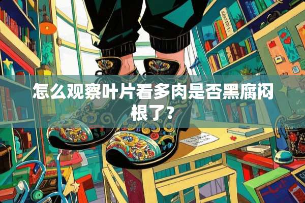 怎么观察叶片看多肉是否黑腐闷根了？