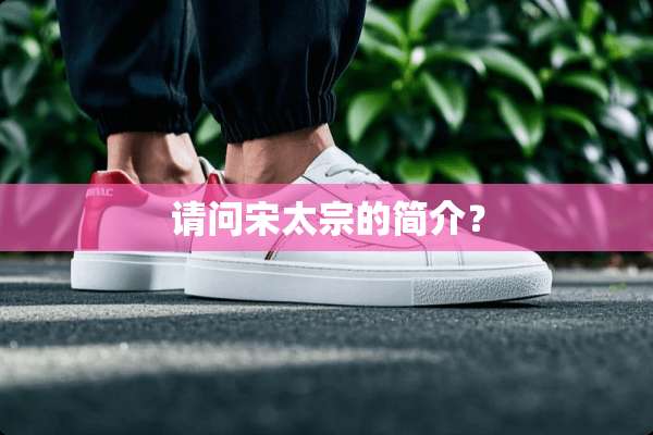 请问宋太宗的简介？
