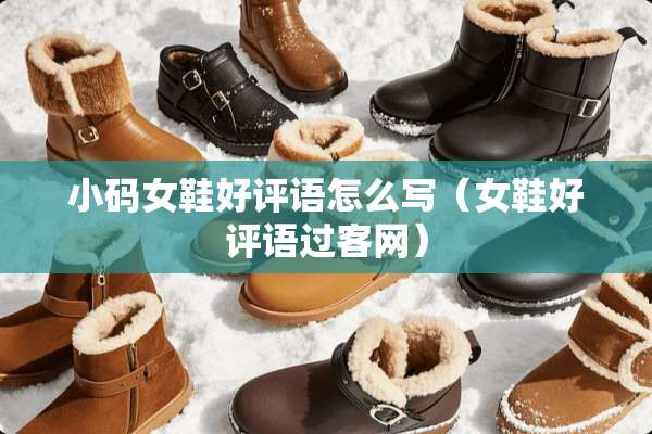 小码女鞋好评语怎么写（女鞋好评语过客网）