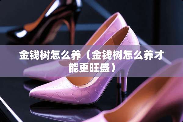 金钱树怎么养（金钱树怎么养才能更旺盛）