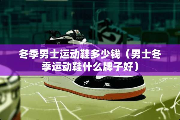 冬季男士运动鞋多少钱（男士冬季运动鞋什么牌子好）