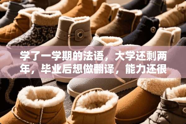 学了一学期的法语，大学还剩两年，毕业后想做翻译，能力还很不够，我要怎么规划呢？