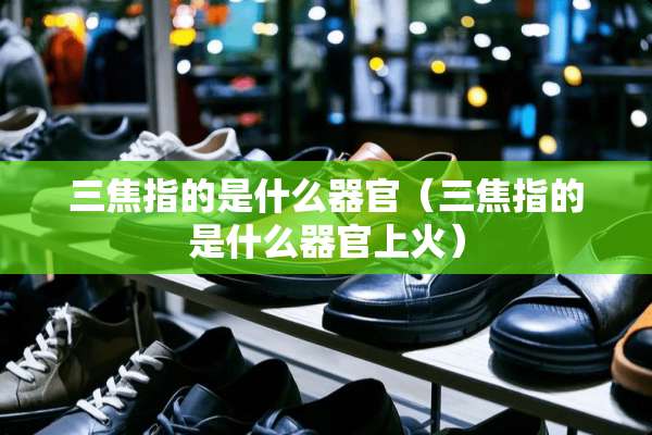 三焦指的是什么**（三焦指的是什么**上火）