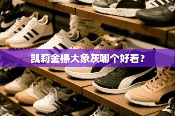 凯莉金棕大象灰哪个好看？