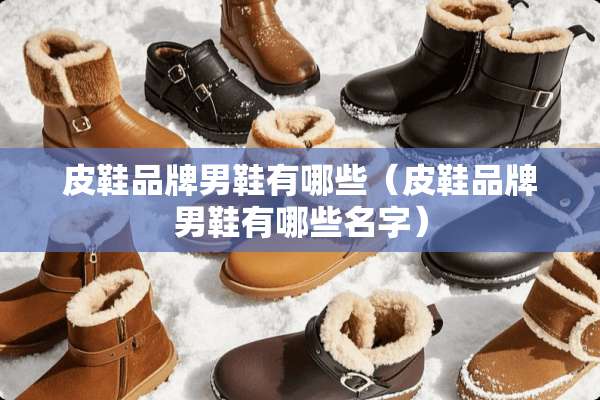 皮鞋品牌男鞋有哪些（皮鞋品牌男鞋有哪些名字）