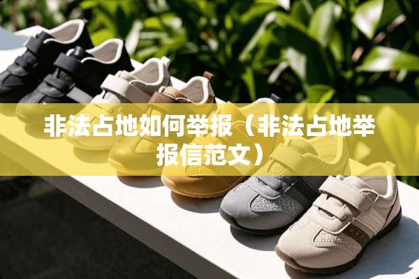 非法占地如何举报（非法占地举报信范文）
