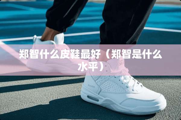 郑智什么皮鞋最好（郑智是什么水平）