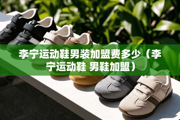 李宁运动鞋男装加盟费多少（李宁运动鞋 男鞋加盟）