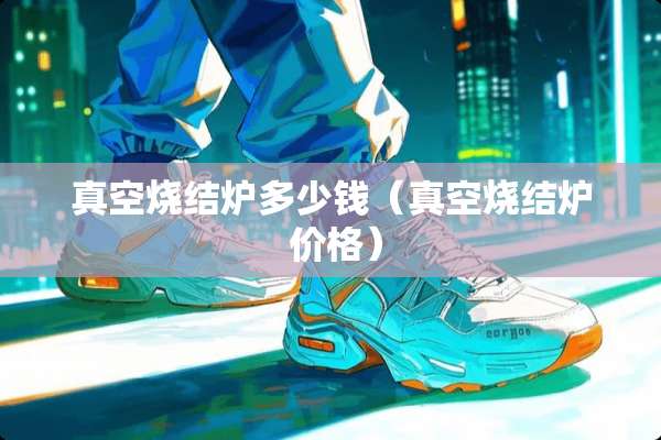 真空烧结炉多少钱（真空烧结炉 价格）