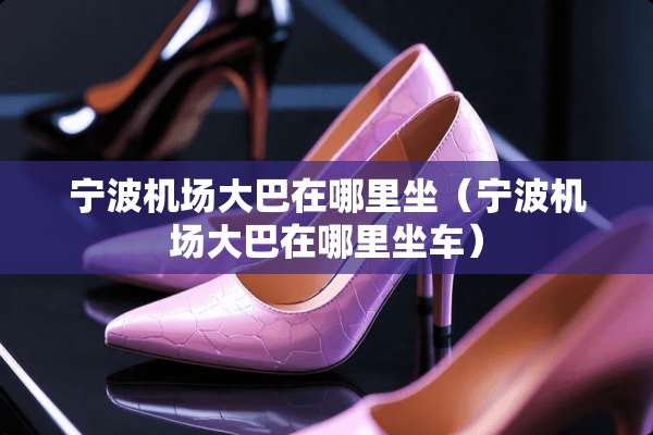 宁波机场大巴在哪里坐（宁波机场大巴在哪里坐车）