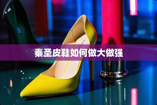 秦圣皮鞋如何做大做强