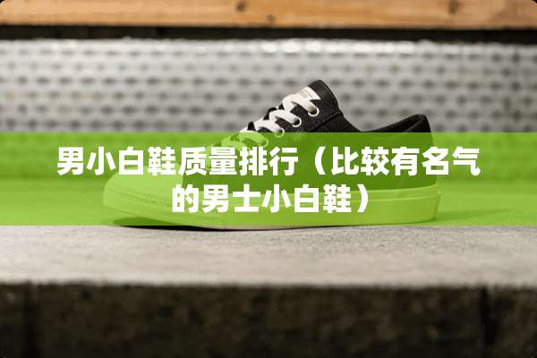 男小白鞋质量排行（比较有名气的男士小白鞋）