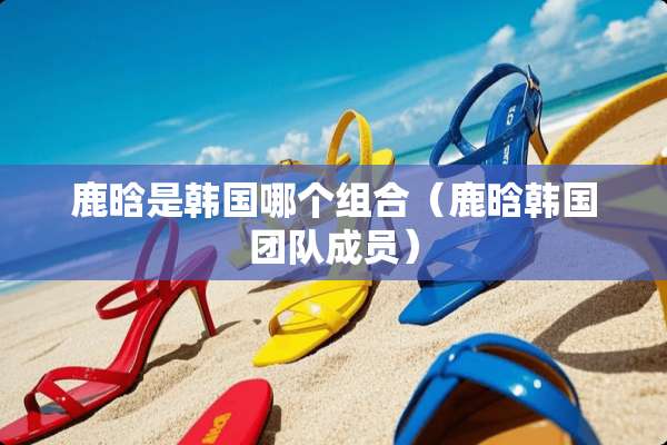 鹿晗是韩国哪个组合（鹿晗韩国团队成员）