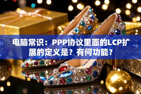 电脑常识：PPP协议里面的LCP扩展的定义是？有何功能？