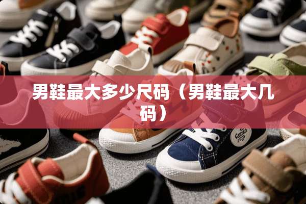 男鞋最大多少尺码（男鞋最大几码）