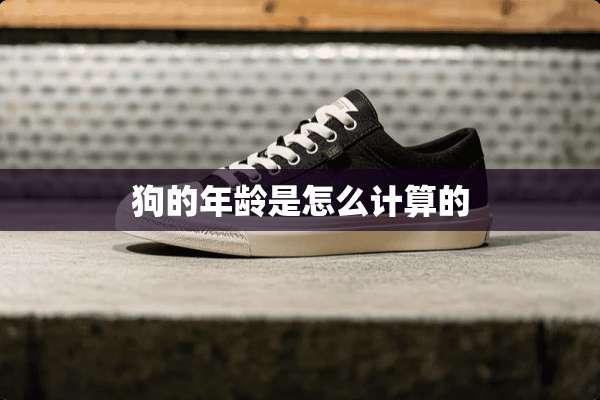狗的年龄是怎么计算的