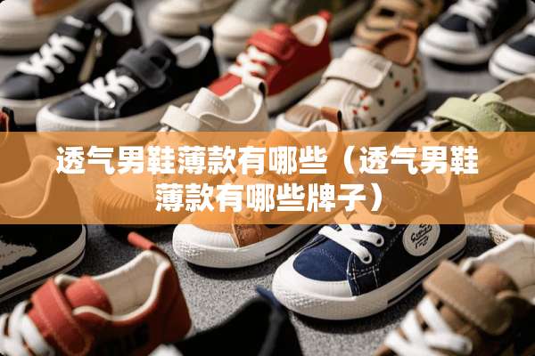 透气男鞋薄款有哪些（透气男鞋薄款有哪些牌子）