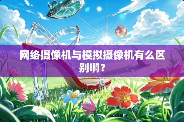 网络**机与模拟**机有么区别啊？