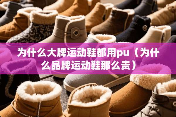 为什么大牌运动鞋都用pu（为什么品牌运动鞋那么贵）