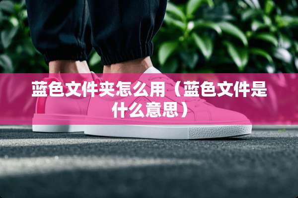 蓝色文件夹怎么用（蓝色文件是什么意思）