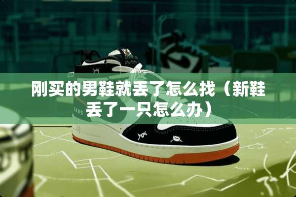 刚买的男鞋就丢了怎么找（新鞋丢了一只怎么办）