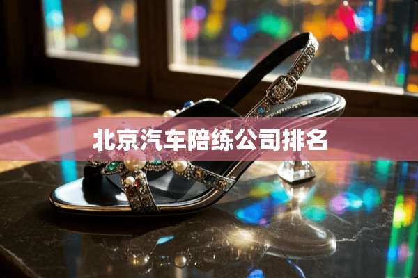 北京汽车陪练公司排名