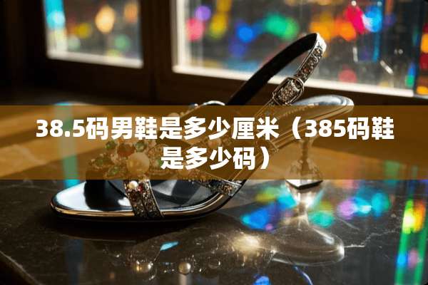 38.5码男鞋是多少厘米（385码鞋是多少码）