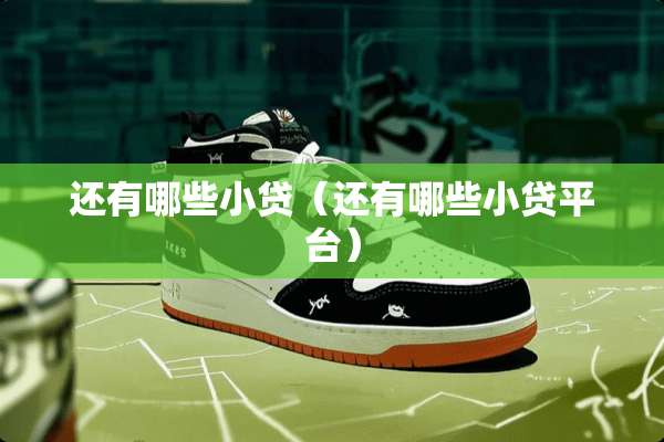 还有哪些小贷（还有哪些小贷平台）