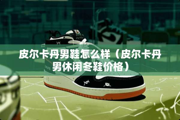 皮尔卡丹男鞋怎么样（皮尔卡丹男休闲冬鞋价格）