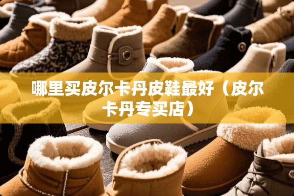 哪里买皮尔卡丹皮鞋最好（皮尔卡丹专买店）