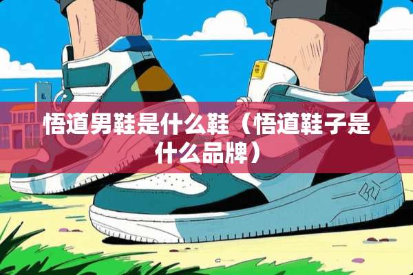 悟道男鞋是什么鞋（悟道鞋子是什么品牌）