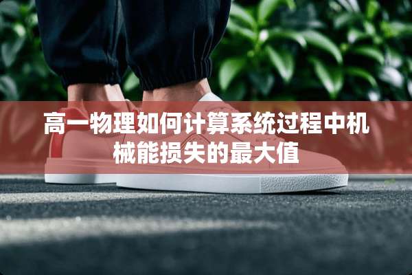 高一物理如何计算系统过程中机械能损失的最大值