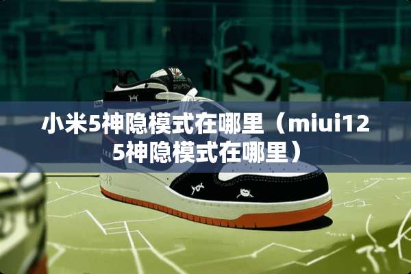 小米5神隐模式在哪里（miui125神隐模式在哪里）