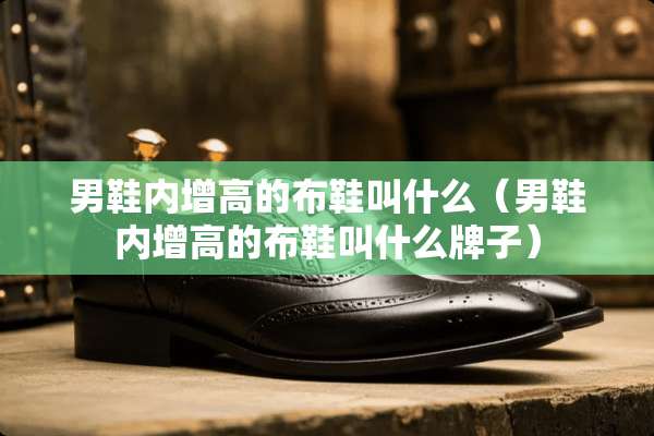 男鞋内增高的布鞋叫什么（男鞋内增高的布鞋叫什么牌子）