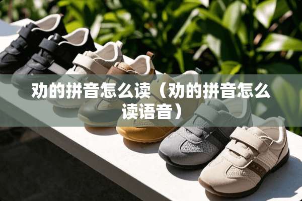 劝的拼音怎么读（劝的拼音怎么读语音）