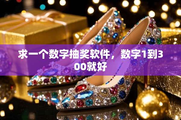 求一个数字抽奖软件，数字1到300就好