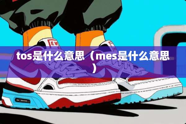 tos是什么意思（mes是什么意思）