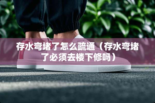存水弯堵了怎么疏通（存水弯堵了必须去楼下修吗）