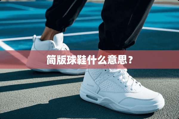 简版球鞋什么意思？