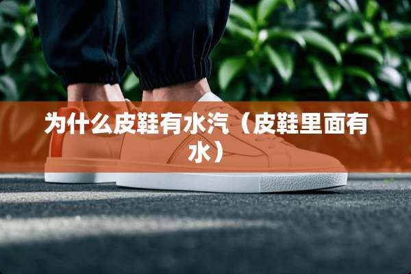 为什么皮鞋有水汽（皮鞋里面有水）