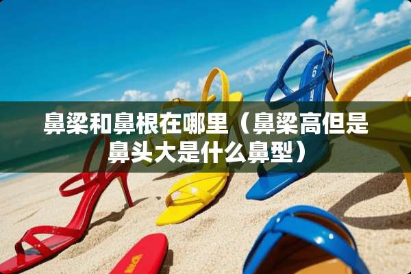 鼻梁和鼻根在哪里（鼻梁高但是鼻头大是什么鼻型）