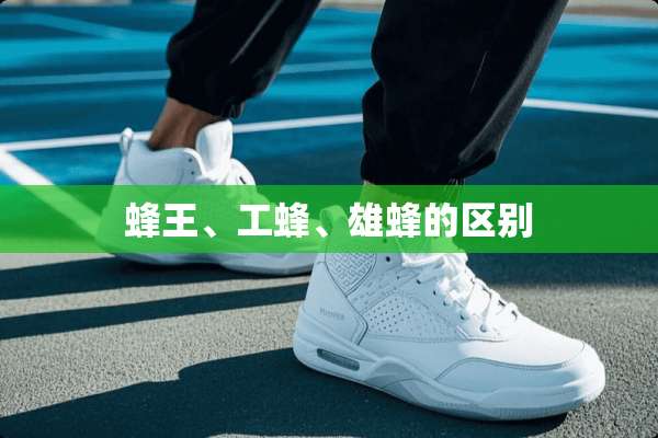 蜂王、工蜂、雄蜂的区别
